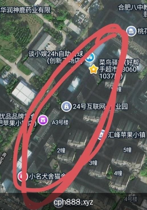 精彩照片