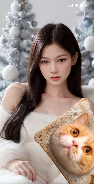 精彩照片
