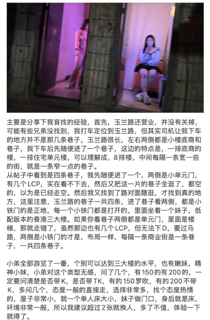 精彩照片