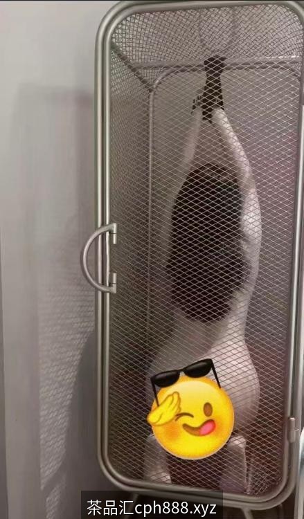 罗湖奶霸景甜